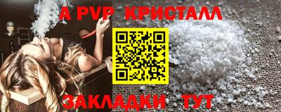гашик Можга