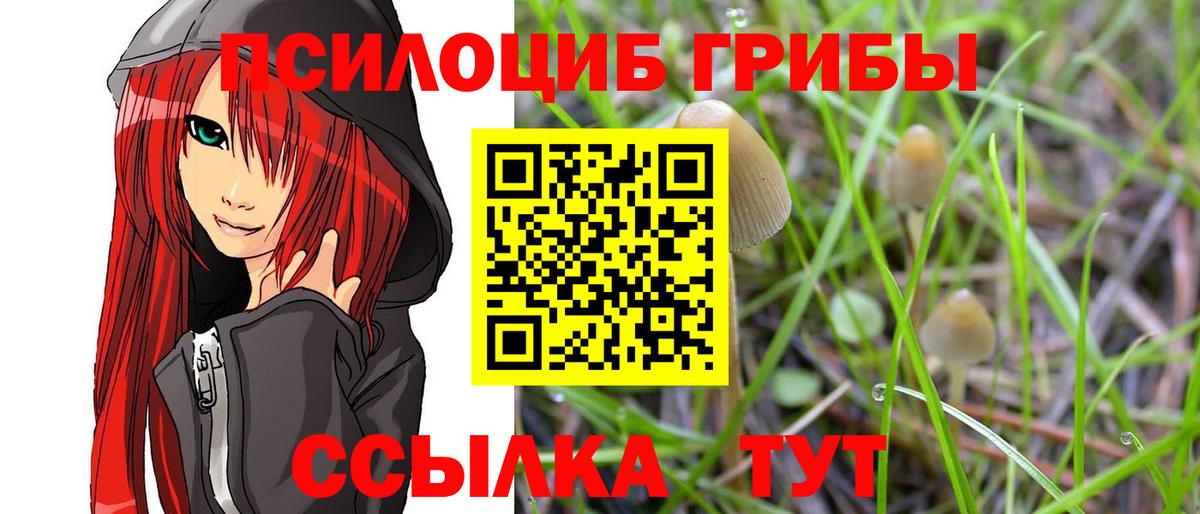 Галлюциногенные грибы Psilocybine cubensis  Вход с VPN  Гуково 